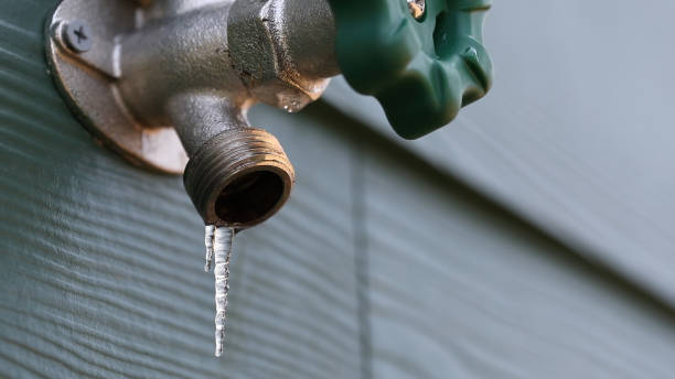 Best Same-Day Plumbing Service  in Wellton, AZ